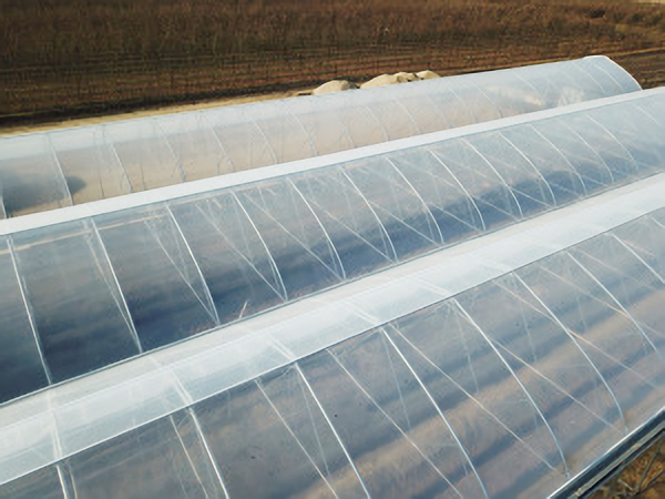 Пленка Sun Saver CLEAR-C717 (180 микрон)